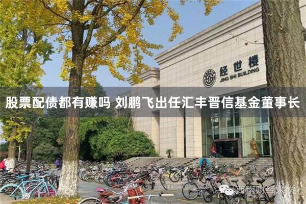 股票配债都有赚吗 刘鹏飞出任汇丰晋信基金董事长