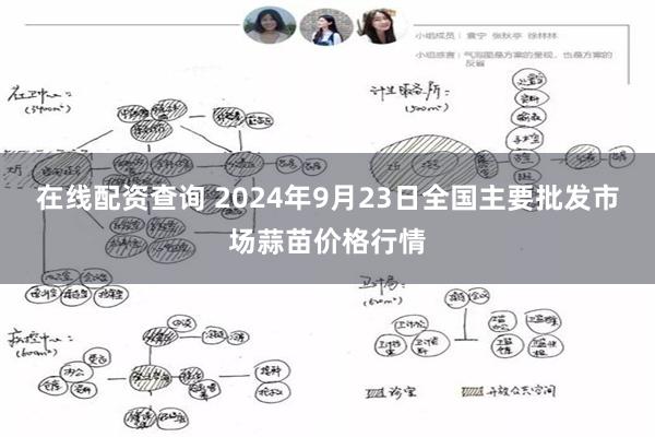 在线配资查询 2024年9月23日全国主要批发市场蒜苗价格行情