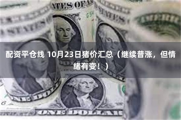 配资平仓线 10月23日猪价汇总（继续普涨，但情绪有变！）