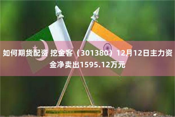 如何期货配资 挖金客（301380）12月12日主力资金净卖出1595.12万元