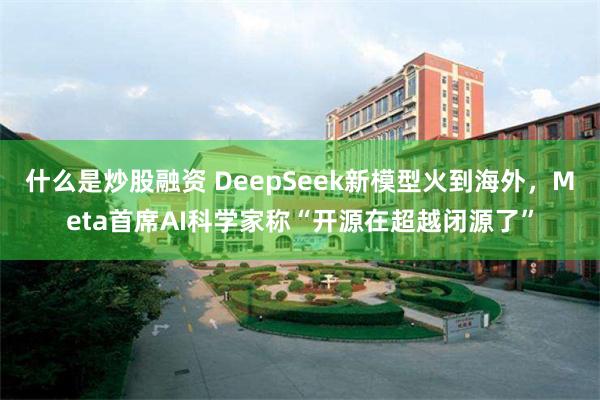 什么是炒股融资 DeepSeek新模型火到海外，Meta首席AI科学家称“开源在超越闭源了”