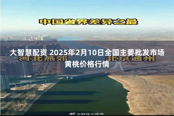 大智慧配资 2025年2月10日全国主要批发市场黄桃价格行情