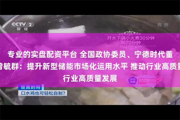 专业的实盘配资平台 全国政协委员、宁德时代董事长曾毓群：提升新型储能市场化运用水平 推动行业高质量发展